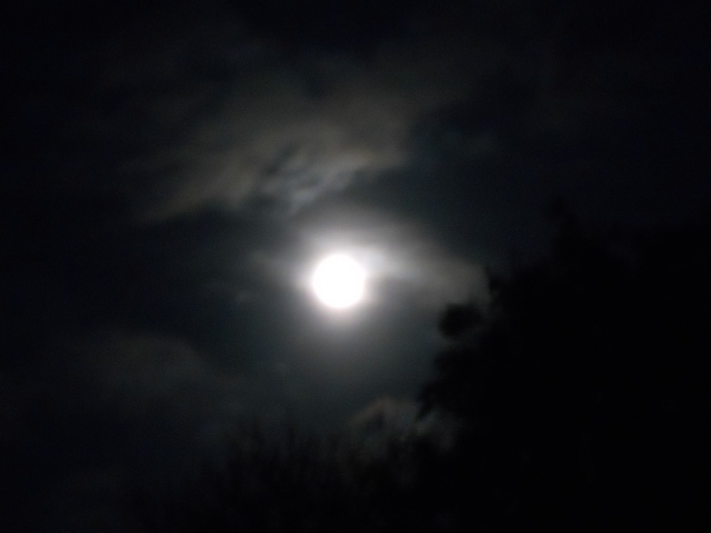 full moon 21 oct 10 007